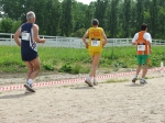 154.jpg