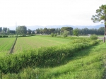 131.jpg