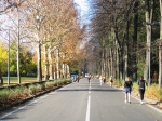 marathon_19.11.06_02000372.jpg
