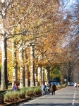marathon_19.11.06_02000373.jpg