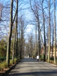 marathon_19.11.06_02000376.jpg