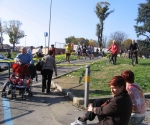 144.jpg