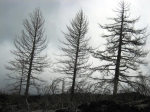 etna_06_0085.jpg