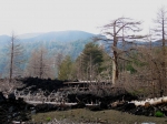 etna_06_0087.jpg