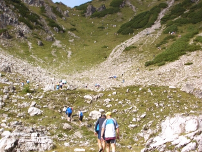 Clicca per vedere l'immagine alla massima grandezza