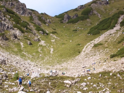 Clicca per vedere l'immagine alla massima grandezza