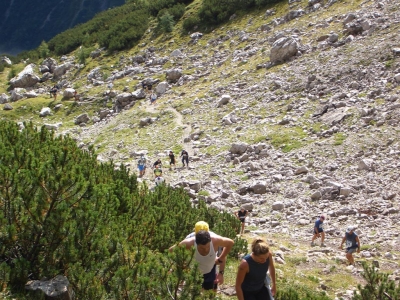 Clicca per vedere l'immagine alla massima grandezza