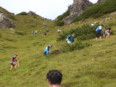 Clicca per vedere l'immagine alla massima grandezza