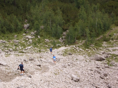 Clicca per vedere l'immagine alla massima grandezza