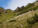 cimg0076.jpg