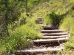 cimg0118.jpg