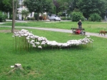 101.jpg