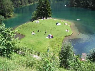 Clicca per vedere l'immagine alla massima grandezza