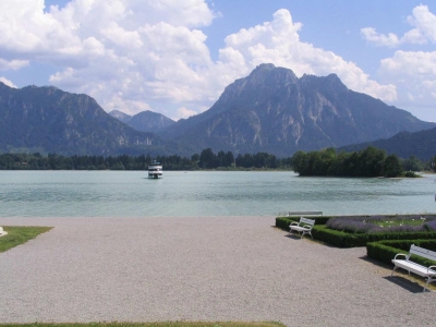 Clicca per vedere l'immagine alla massima grandezza