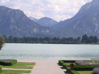 Clicca per vedere l'immagine alla massima grandezza