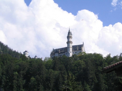 Clicca per vedere l'immagine alla massima grandezza
