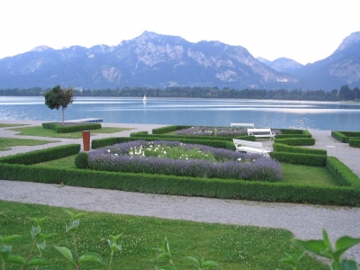 Clicca per vedere l'immagine alla massima grandezza
