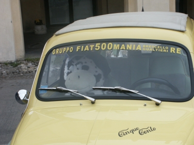 Clicca per vedere l'immagine alla massima grandezza