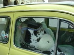 gualtieri06 051.jpg