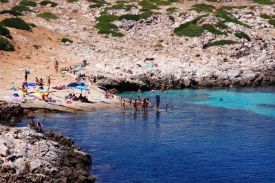 Clicca per vedere l'immagine alla massima grandezza