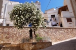 levanzo_06_0028.jpg