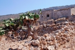 levanzo_06_0056.jpg
