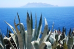 levanzo_06_0079.jpg