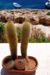 levanzo_06_0088.jpg