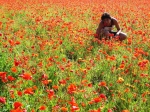 seregno_martesana_2006_ 308.jpg