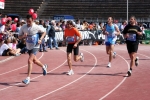 2.4.06-STRAMILANO-roberto.mandelli0625.jpg