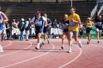 2.4.06-STRAMILANO-roberto.mandelli0761.jpg