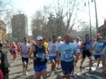 photo41.jpg