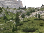 cimg0086.jpg