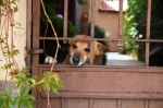 DSC_0117.jpg