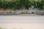 DSC_0141.jpg