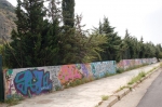 DSC_0145.jpg