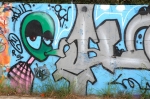 DSC_0146.jpg