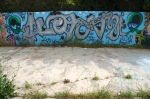 DSC_0147.jpg