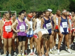 ab_morselli_navazzo 111.jpg