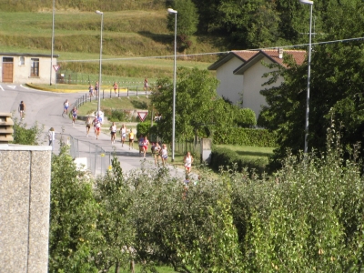 Clicca per vedere l'immagine alla massima grandezza