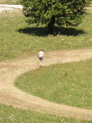 Clicca per vedere l'immagine alla massima grandezza