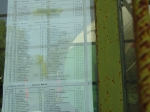 zz_morselli_navazzo 091.jpg