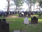 PICT0101.jpg