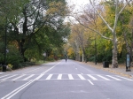 PICT0254.jpg