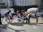DSC00472.jpg