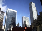 IMGP0204.jpg