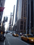 IMGP0213.jpg