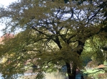 DSC06261.jpg