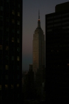 IMG_2336.jpg