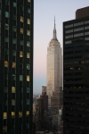 IMG_2337.jpg